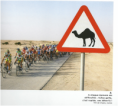 /album/galerie-photos/tour-of-qatar-2-png/